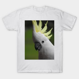 Sulphur Crested Cockatoo T-Shirt